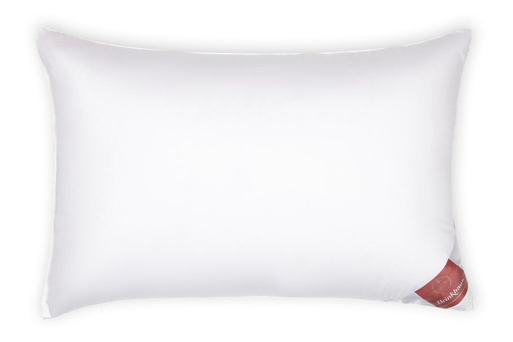 Expensive pillow best sale