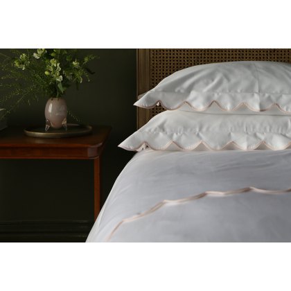 Scallop Flat Sheet Scallop Flat Sheet